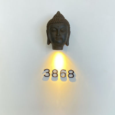 আলোকিত স্টেইনলেস স্টীল 304 মেটাল অ্যাড্রেস সাইনস স্ক্রু মাউন্ট