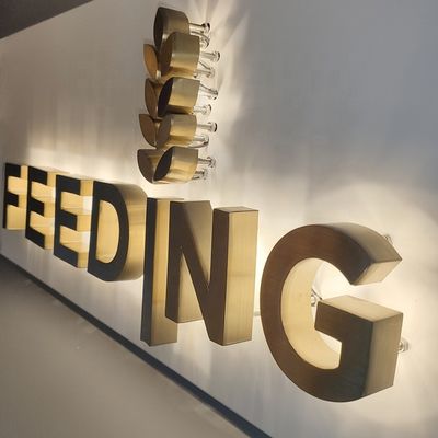 গোল্ড ব্রাশ স্টেইনলেস স্টীল ব্যাকলিট অক্ষর চিহ্ন